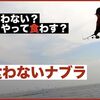 食わない！釣れないナブラの水中では何が？その原因と攻略法