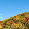 紅葉と臓物の秋