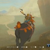 【ゼルダの伝説BotW】１６カラカラバザール ウツシエの場所発見！