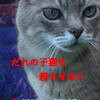 誰の子猫も殺させない・・・