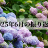 2025年6月の振り返り