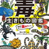 毒のある魚　ゴンズイを捕まえた！？