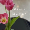 今日の夜に楽しみにしていること
