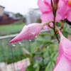 雨だけど今日は助かった