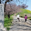 丸墓山古墳からの光景  ～さきたま古墳公園：行田市～