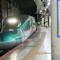【弘前さくらまつりへ】春の弘前帰省日記その１。E259系成田エクスプレス、E257系湘南、E5系はやぶさ11号(最速)。幹総のE2系・E6系・E7系・E956形”ALFA-X”【千葉→盛岡】