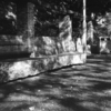 Photo No.2294 / 写欲が戻らない