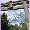 京の初秋の散歩「梨木神社の萩」