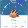 【ポケモンGo】サードアタック解放「ウリムー」で実際にやってみたよっ！