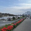 城東エリアを周る