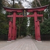 久しぶりの弥彦神社