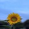 大きな問題解決のための地道な一歩