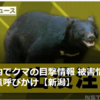 【クマ被害速報！……6／10－11　クマ出没注意報を初めて発令　宮城県、10日の人身被害受け】＃520