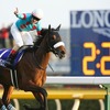 アーモンドアイの一口馬主への生涯獲得賞金還元額分析