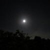 今夜の月