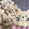 丸い猫のクッキー