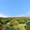 9月末、そうだ、小さな秋を探しに行こう！