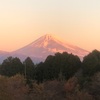 今朝の景色