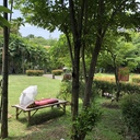 パニック障害患者、まったりとブログやる
