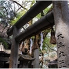 式内大社・天照大神高座神社写真館（６/１９）