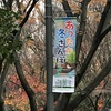 紹介：最近の新宿中央公園での紅葉の様子をお伝えいたします