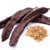 Carob, the seed full of virtues