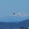 「#木曽三川公園」≪#3≫　― 鷹の如く空高く舞い上がる「#カイト] ―