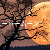 ほぼスーパームーン。