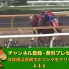 競馬無双で競馬予想！菊花賞（GI） 【競馬調教】 カフジプリンス調教動画　「競馬レース結果ハイライト」2016年≪競馬場の達人,競馬予想≫JRA-VAN対応競馬ソフト