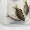 2022年（現況報告など）