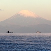 北条海岸から見る富士山