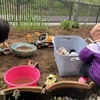 土曜日