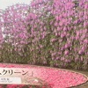充実の朝ごはんと「あしかがフラワーパーク」へ！2泊は最高です！