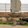 隣県西部離島のねこさん