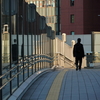 レトロと近未来が共存する街『東京新橋・汐留⑥夕景編Ⅱ』