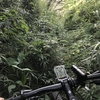 近所トレイルへ