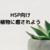 【HSP向け】植物を育ててみよう【リラックスする効果あり】