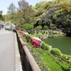 １０年ぶりに砥部動物園へ　　　　　　　　　　　　　　　　　　　　　　　　　　　　　　ホッキョクグマ人気者ピース