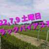 2022,7,9 土曜日 トラックバイアス予想 (福島競馬場、小倉競馬場、函館競馬場)