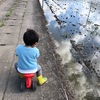 2歳3ヶ月男の子〜身近な運動やスポーツの開始適齢期💡〜