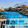 【静岡県・沼津市】沼津・熱海旅行記〔２〕港八十三番地｜日本唯一の深海に特化した水族館『沼津港深海水族館～シーラカンスミュージアム～』①