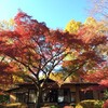 紅葉を愛でる会 at 聴竹居