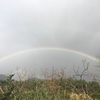 雨、所により晴れ、虹