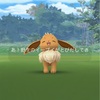 【ポケモンGO】コミュニティデイ結果報告【2021年8月イーブイ】雨でしたね。