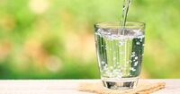 「わずか1.5%の乾き」が脳のパフォーマンスを下げる！　脳をフル活用するための、水分との付き合い方