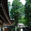 大神神社写真館(１０/３)