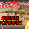 【CS2経済学】AK-47  Wild Lotusは何故高いのか【スキン解説】