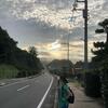 無駄な行動からの収穫