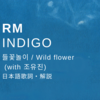 BTS RM 「Indigo」들꽃놀이 / Wild flower (with 조유진) 【日本語歌詞 / 和訳 / 解説・考察】