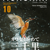フジの野鳥撮影『カワセミ求めて三千里』